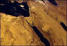 Chronicle Picture